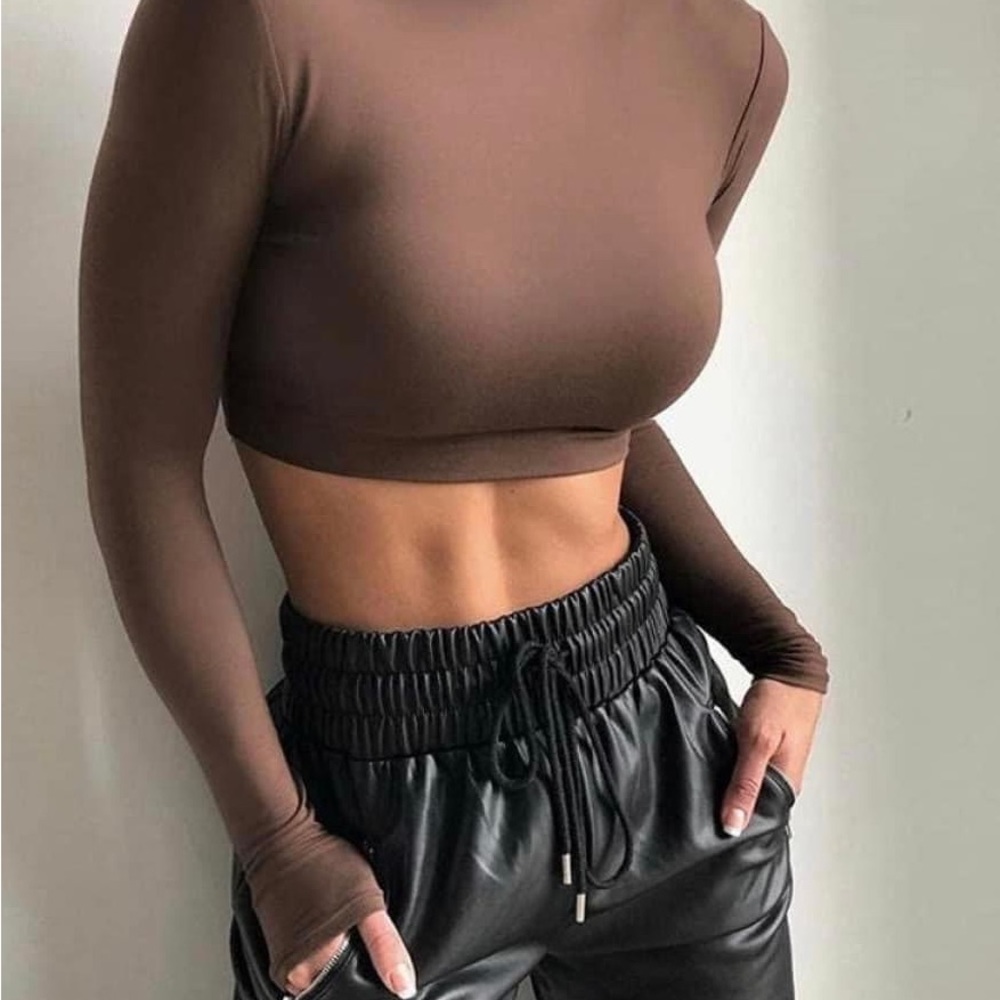 Fitted Long Sleeve Crop Turtleneck